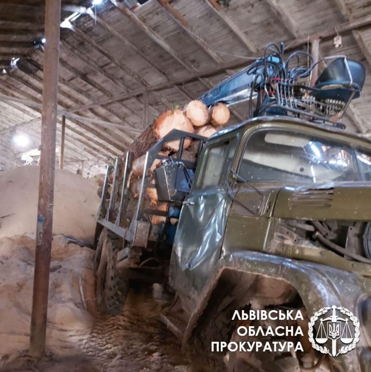 Вирубали дерев на понад 2,6 мільйона гривень: слідчі повідомили про підозру "чорним" лісорубам Вирубали дерев на понад 2,6 мільйона гривень: слідчі повідомили про підозру "чорним" лісорубам