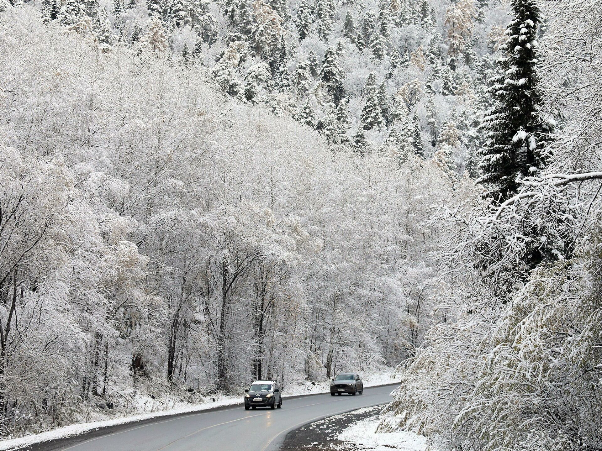 Гололедица в Украине 30 – 31 января, 1 февраля: перечень регионов Гололедица в Украине 30 – 31 января, 1 февраля: перечень регионов