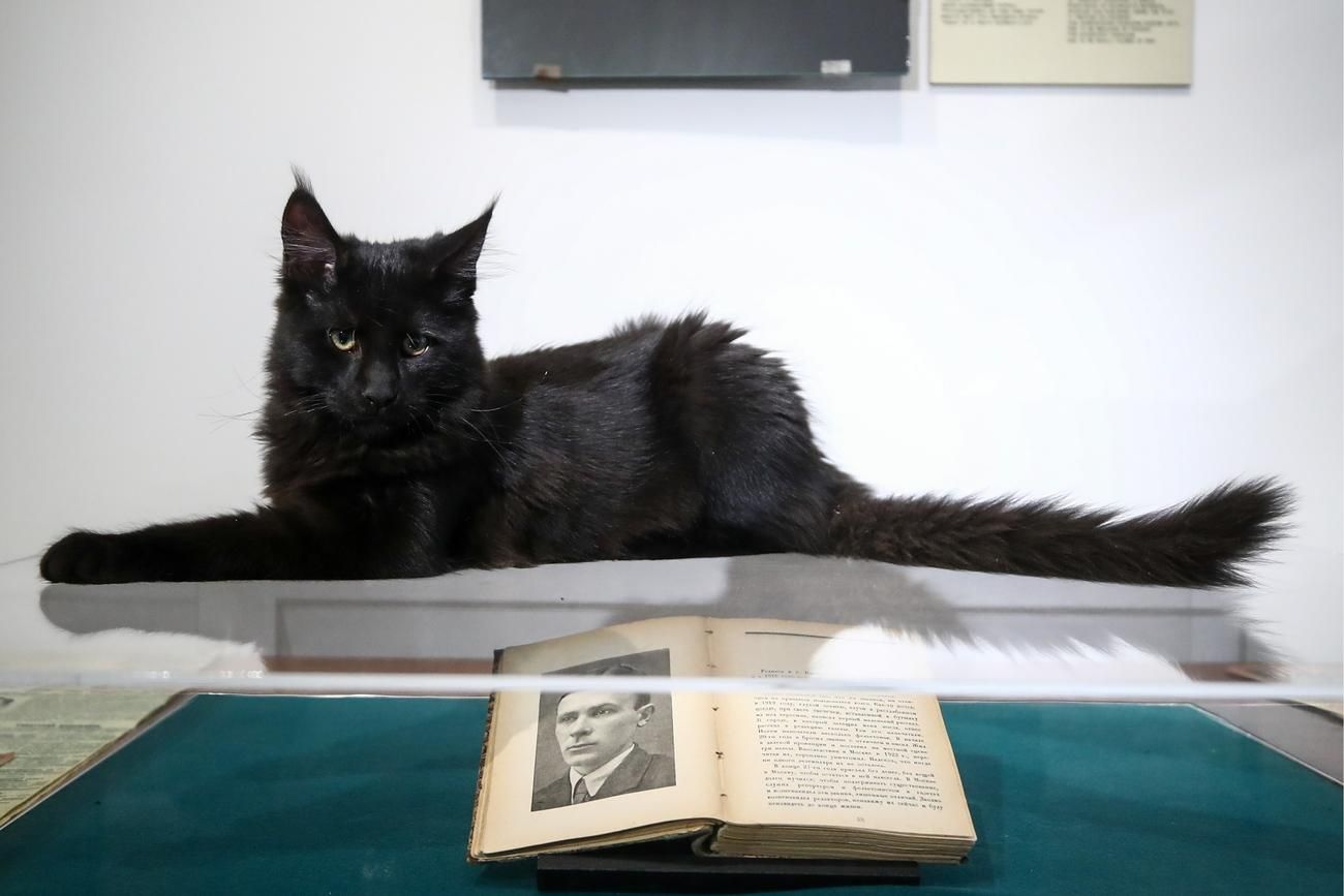 В Украине опровергли запрет Мастера и Маргариты В Украине опровергли запрет Мастера и Маргариты