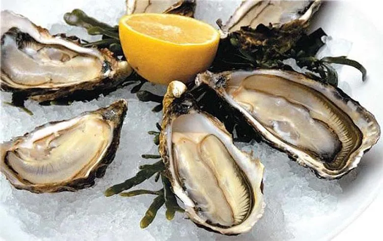 Устриці Устриці