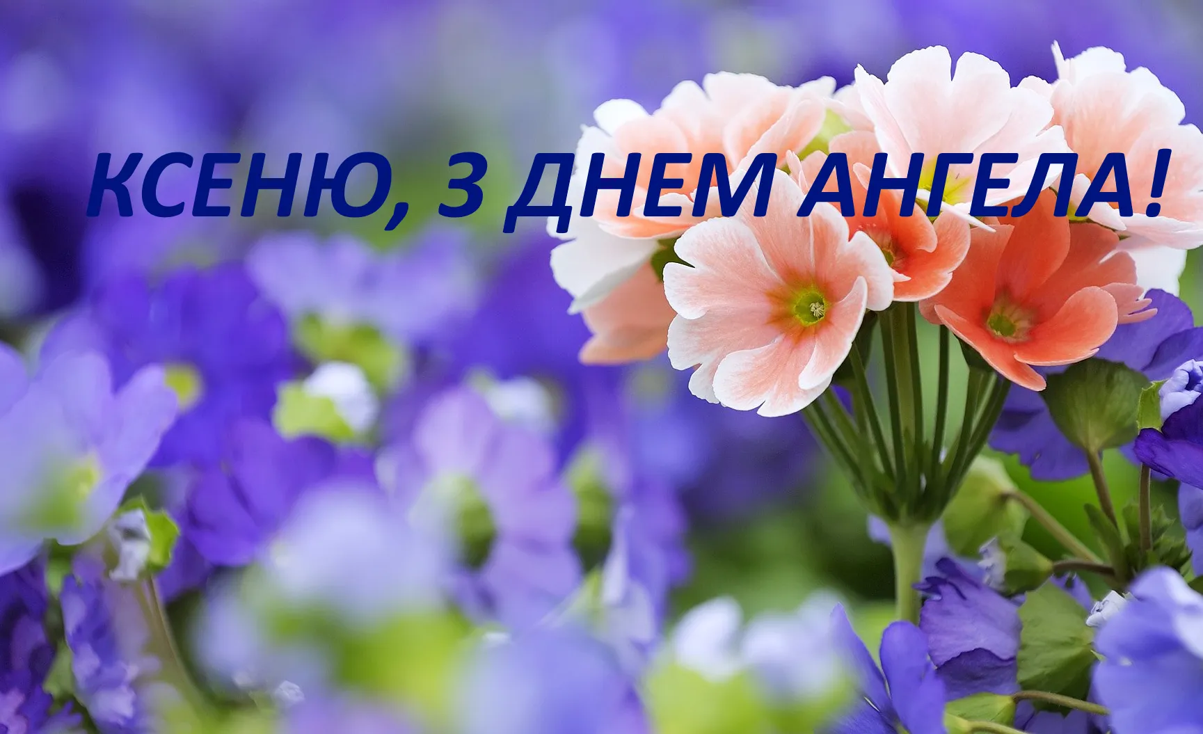 День Ангела Ксенії: картинки День Ангела Ксенії: картинки