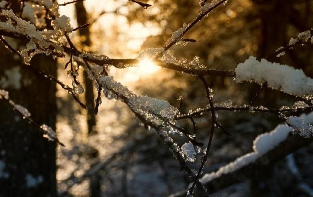 В Украине 3 февраля придет потепление: где будет теплее всего