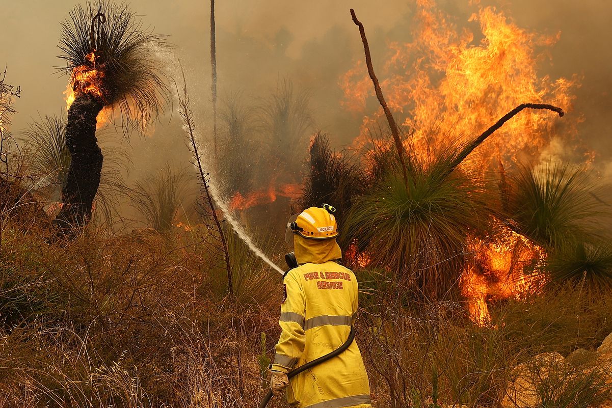 В Австралии вспыхнули масштабные пожары: сотни людей эвакуируют