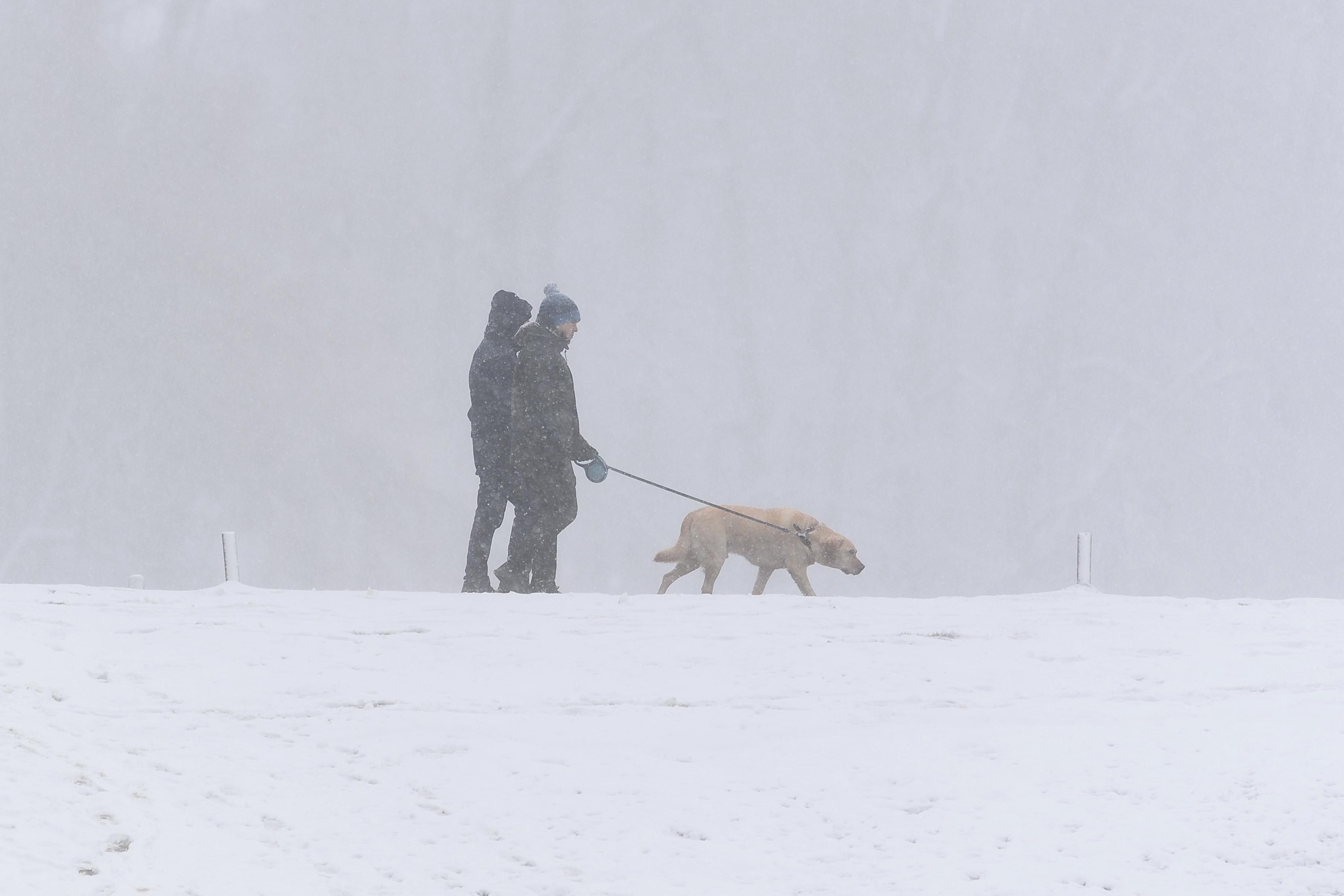 Погода 8 лютого 2021: прогноз від синоптиків України Погода 8 лютого 2021: прогноз від синоптиків України
