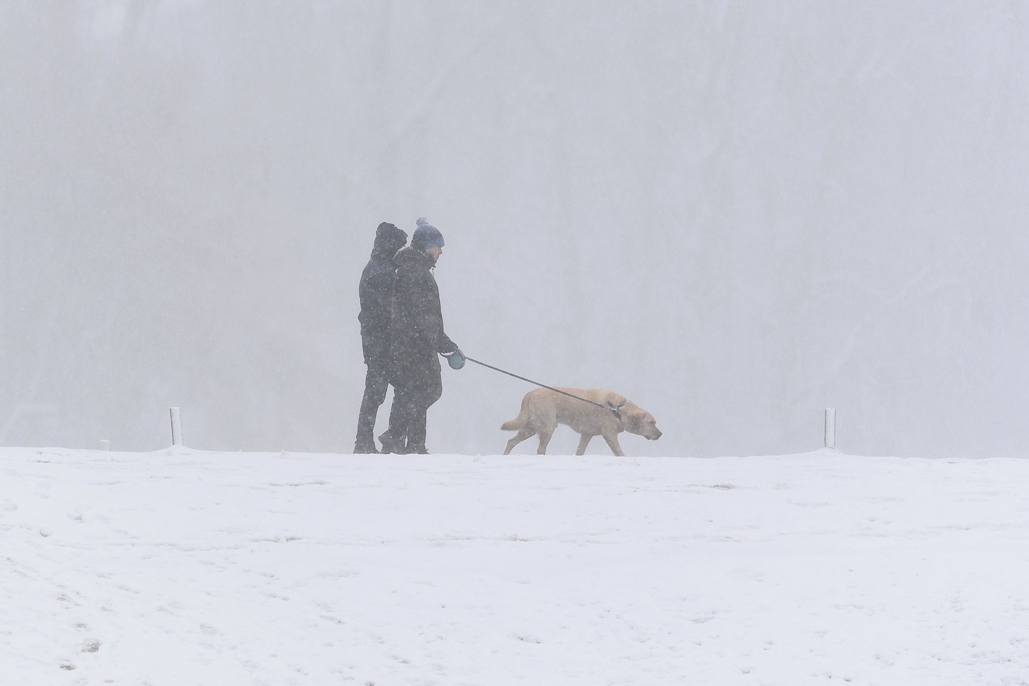 Погода 8 февраля 2021: прогноз от синоптиков Украины Погода 8 февраля 2021: прогноз от синоптиков Украины