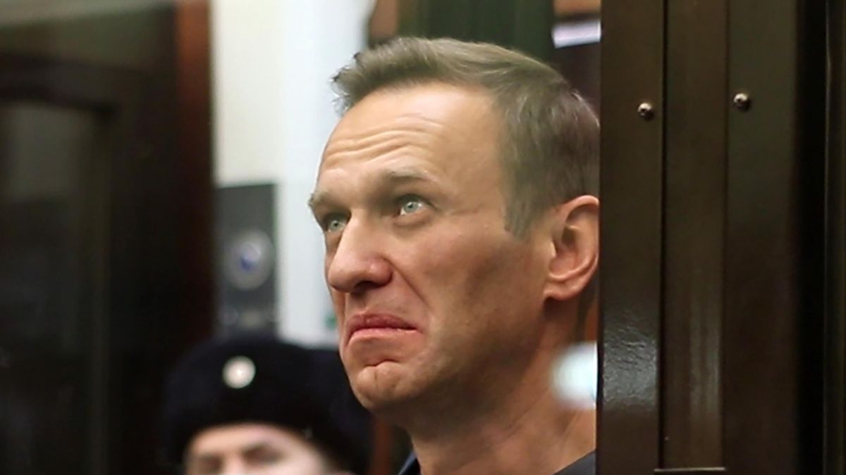 Навальному вішають справи, як іграшки на новорічну ялинку, - Фейгін