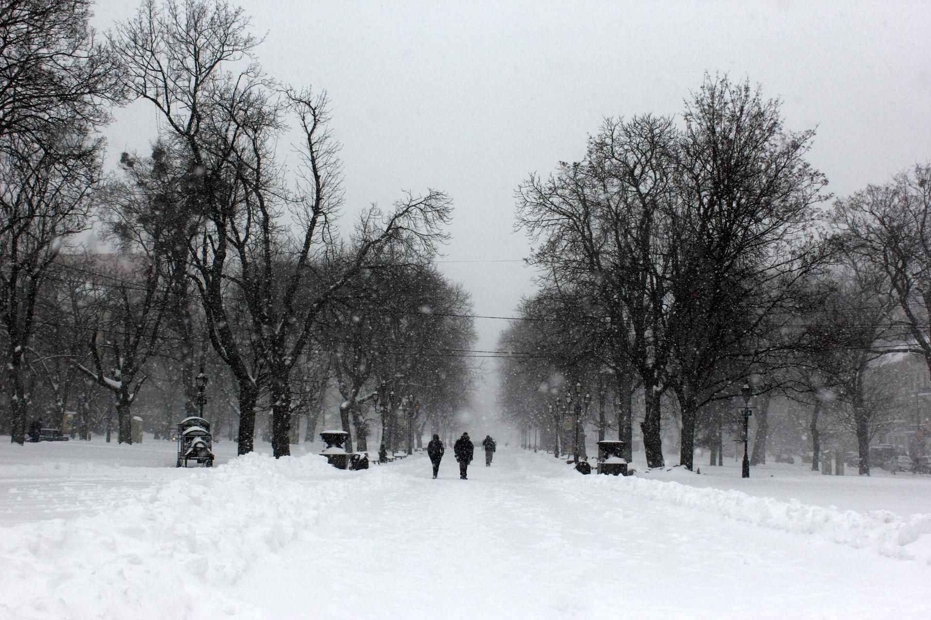 Погода в Украине 7-8 февраля: морозы и ветер