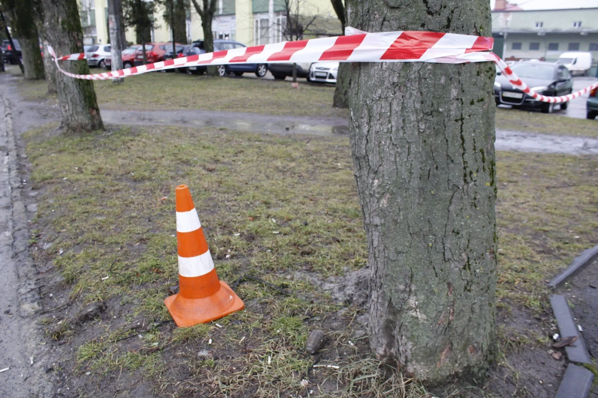 У Львові двірник знайшов гранату посеред вулиці: фото