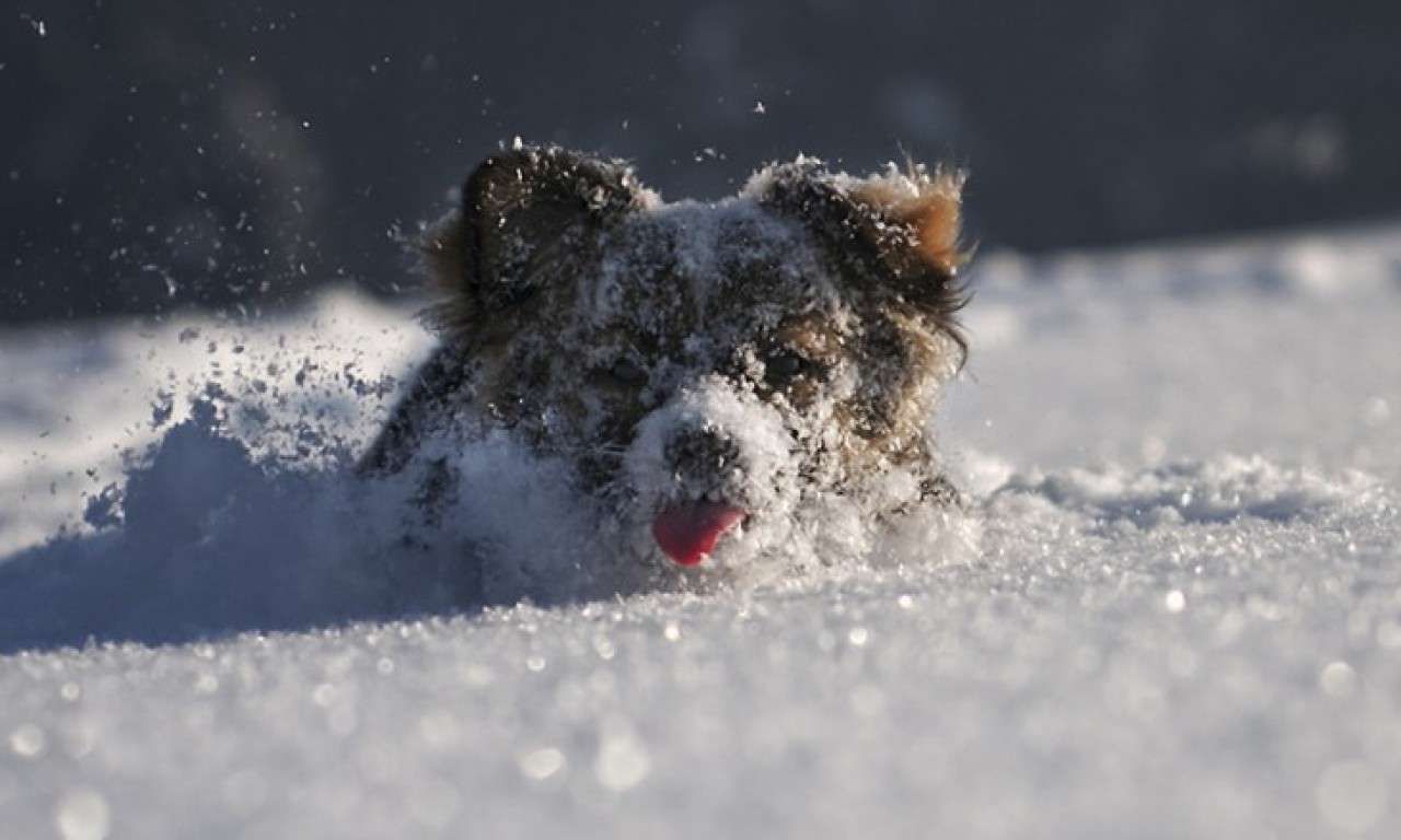 Погода 6 февраля 2021: прогноз от синоптиков Украины Погода 6 февраля 2021: прогноз от синоптиков Украины