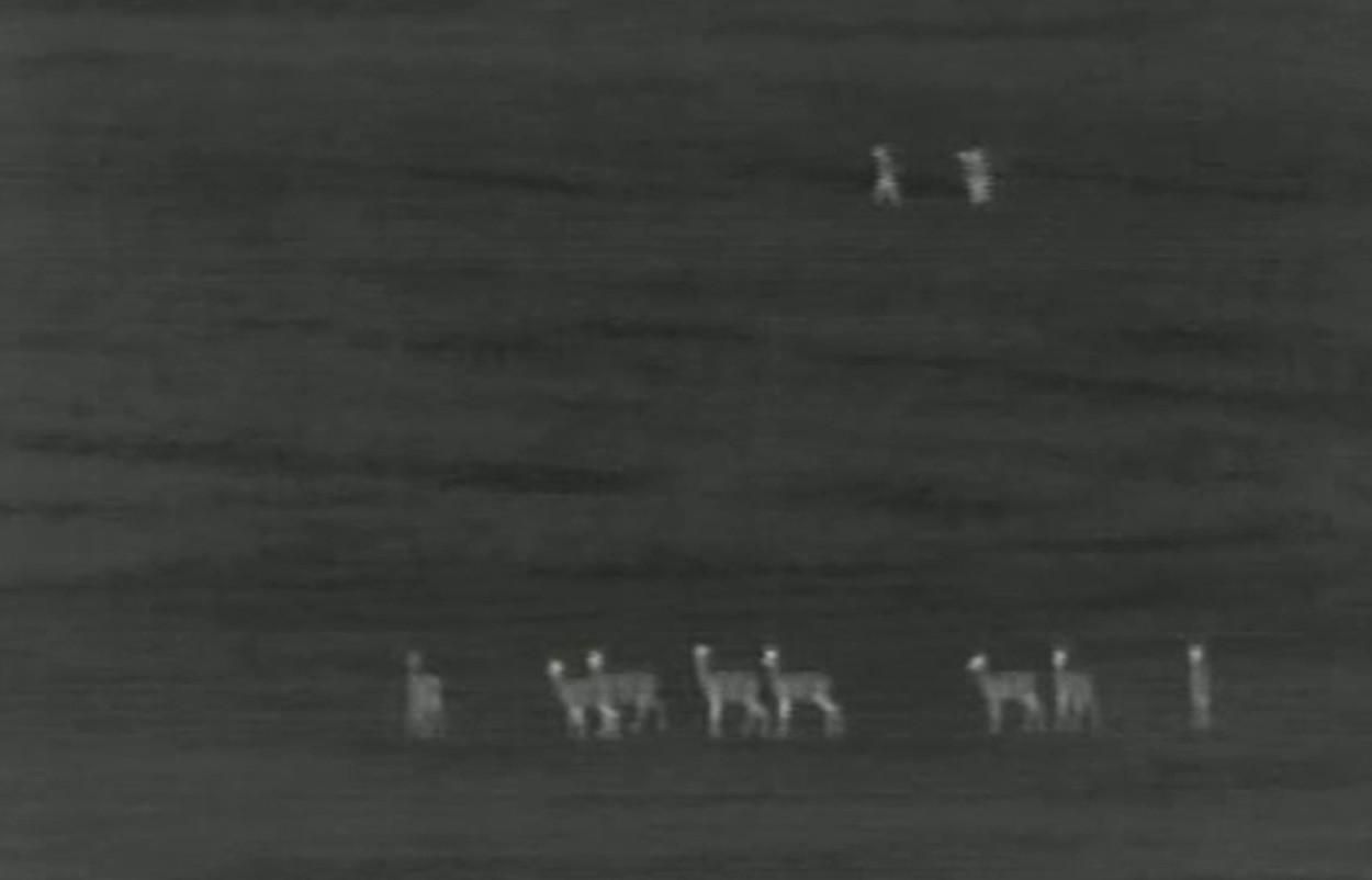 Падали, поднимались и снова бежали: пограничники задержали нелегалов - эпическое видео Падали, поднимались и снова бежали: пограничники задержали нелегалов - эпическое видео