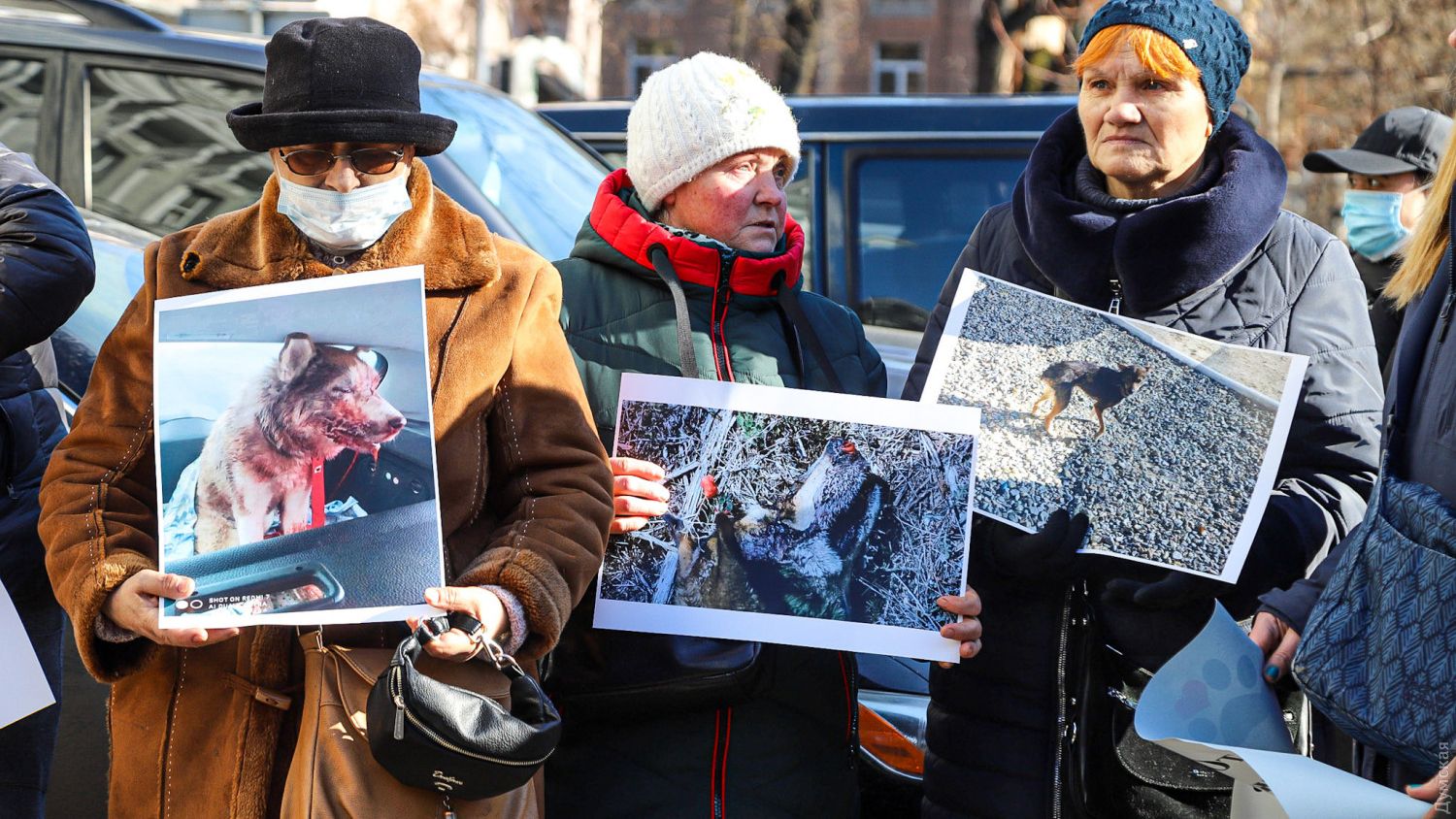 Байдужість правоохоронців щодо жорстокого поводження з тваринами: в Одесі пікетували обласну поліцію Байдужість правоохоронців щодо жорстокого поводження з тваринами: в Одесі пікетували обласну поліцію