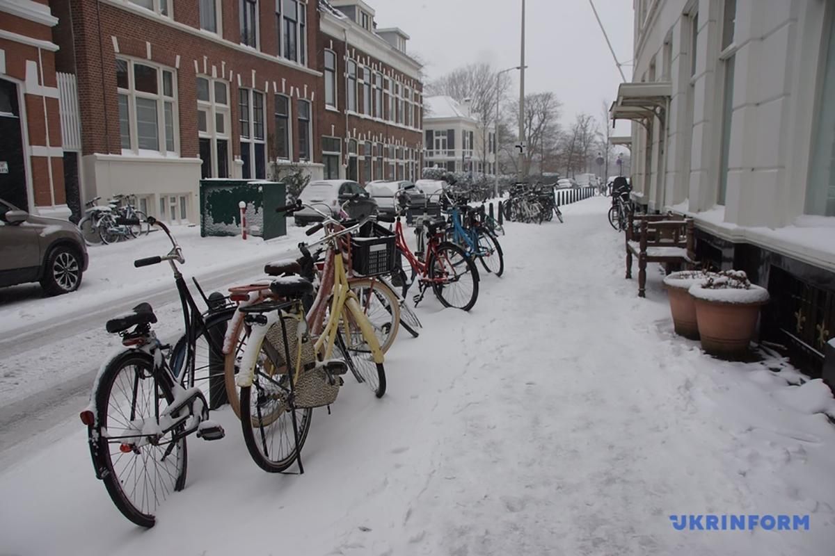 Снегопады в Нидерландах 7.01.2021: авиарейсы отменили - фото
