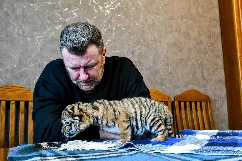 Вигодовування займає чимало часу і сил Вигодовування займає чимало часу і сил