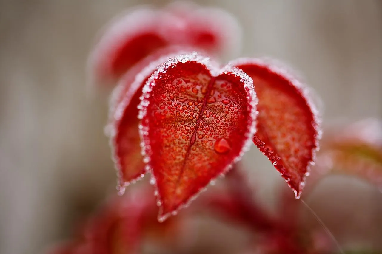 Що не можна робити 9 лютого Що не можна робити 9 лютого