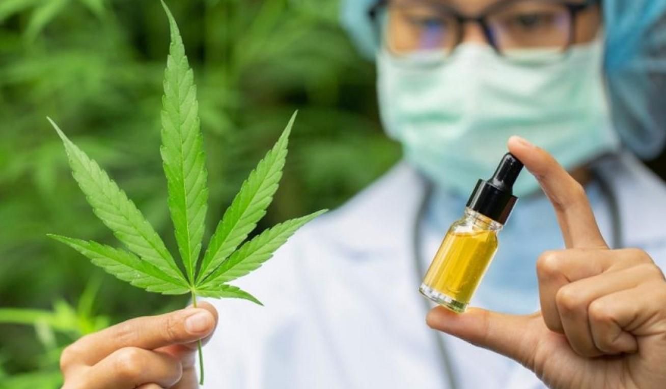 Медицинский каннабис: как это поможет детям с эпилепсией в Украине Медицинский каннабис: как это поможет детям с эпилепсией в Украине