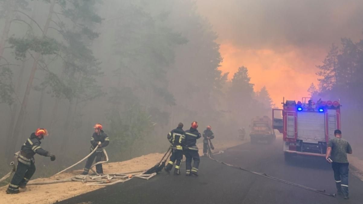 Працівників ДСНС Луганщини гасили лісову пожежу на папері
