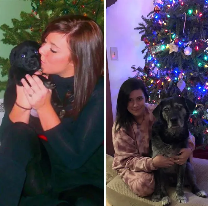 Владелица пса сфотографировала их первое и четырнадцатое рождество вместе