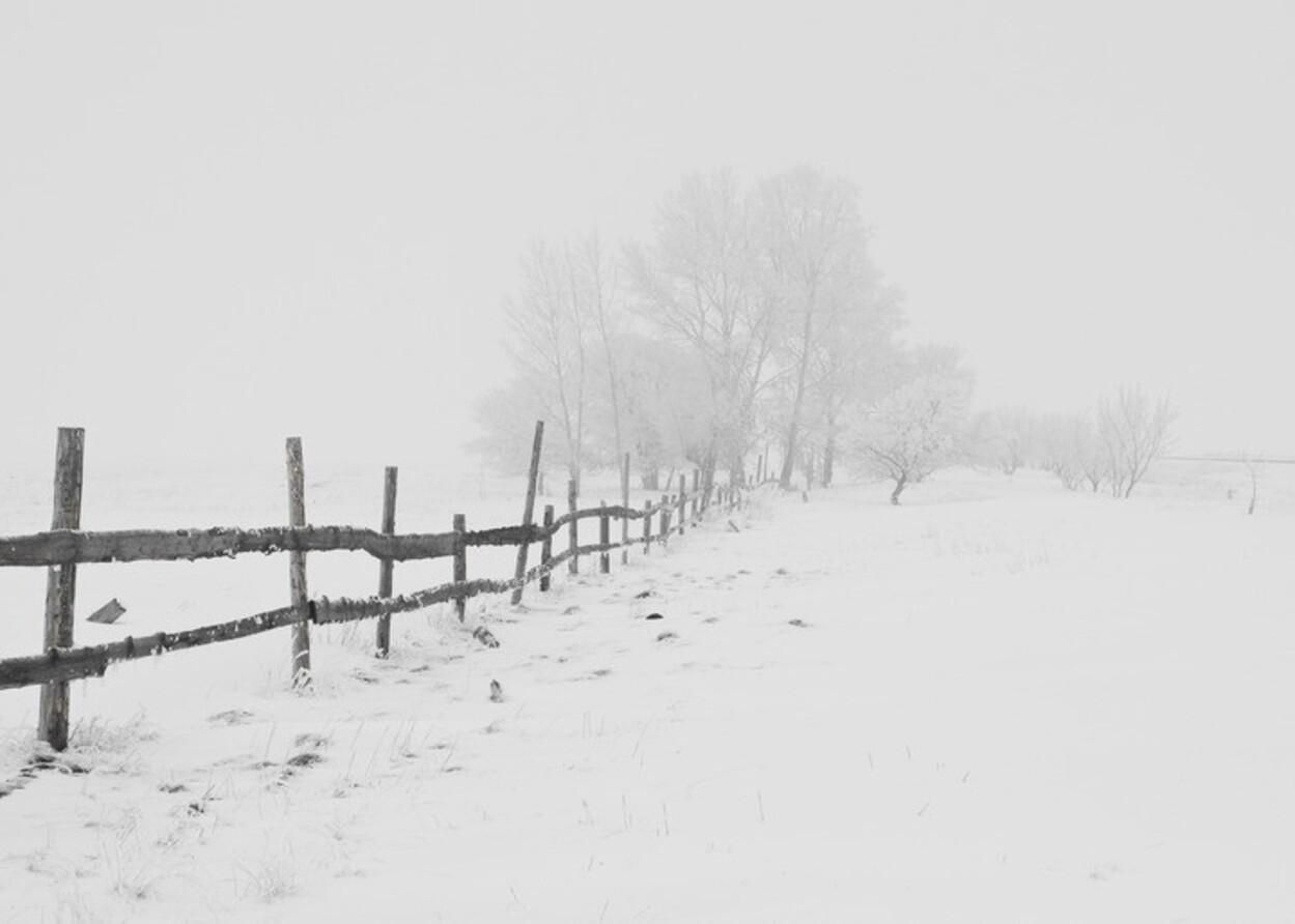 Львовщину еще больше заметет снегом: прогноз погоды во Львове и области на 11 февраля 