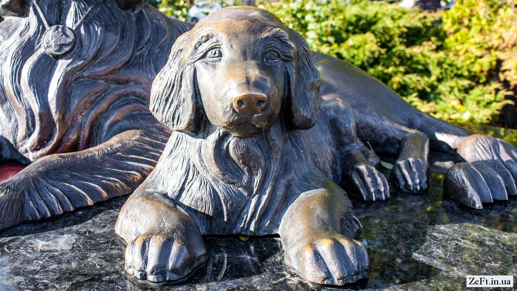 Монумент посвятили верности четвероногих друзей Монумент посвятили верности четвероногих друзей