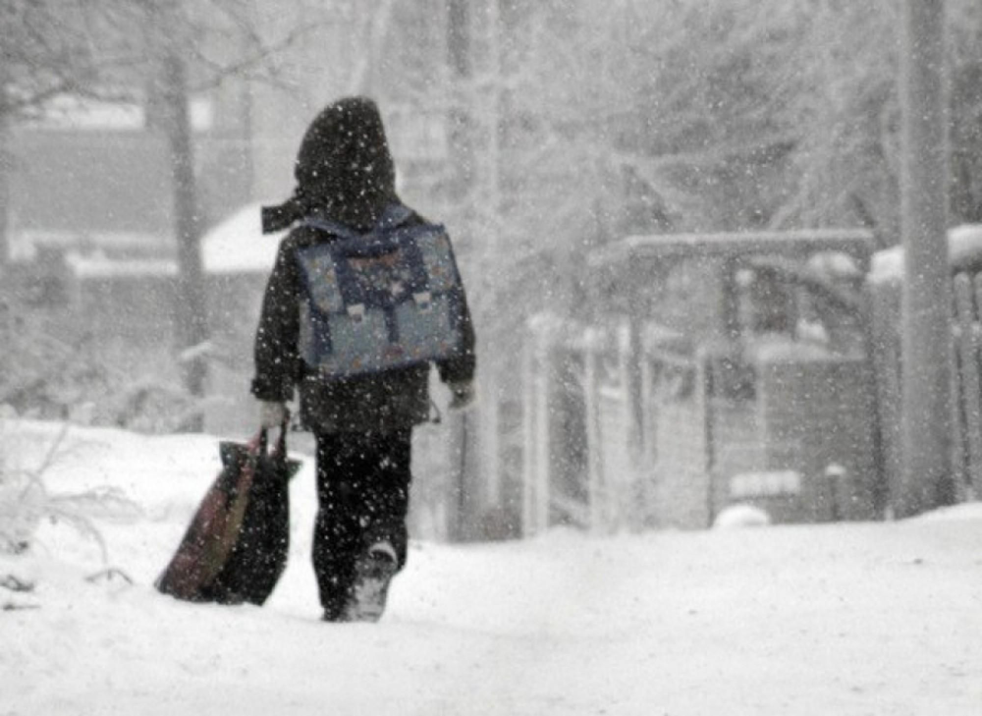 У Рівному на два дні закривають школи через снігову навалу