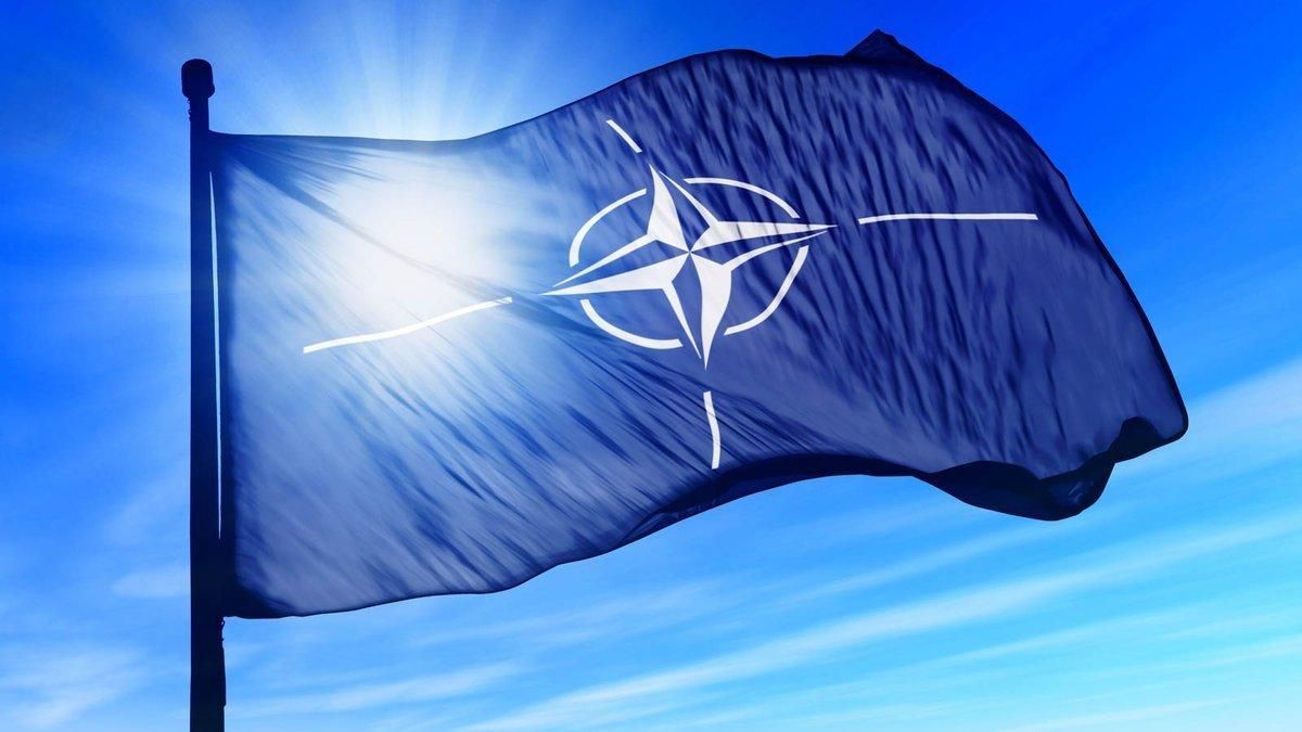Путь Украины в НАТО: что отделяет государство от вступления в Альянс