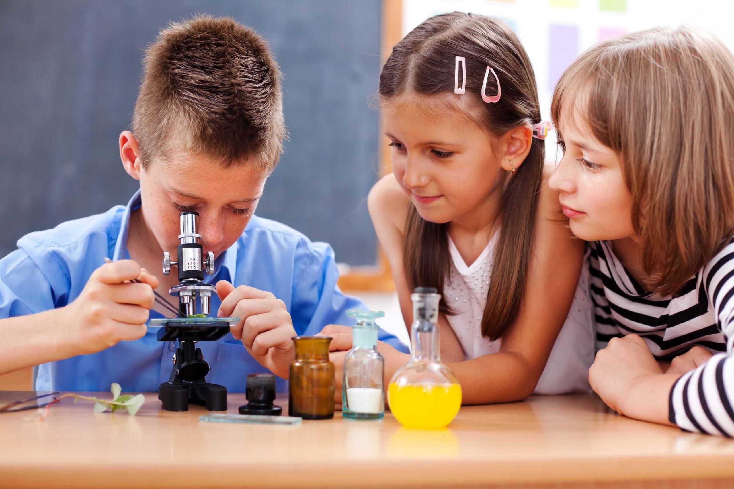 Должны ли школы учитывать склонность учеников к науке: мнение эксперта