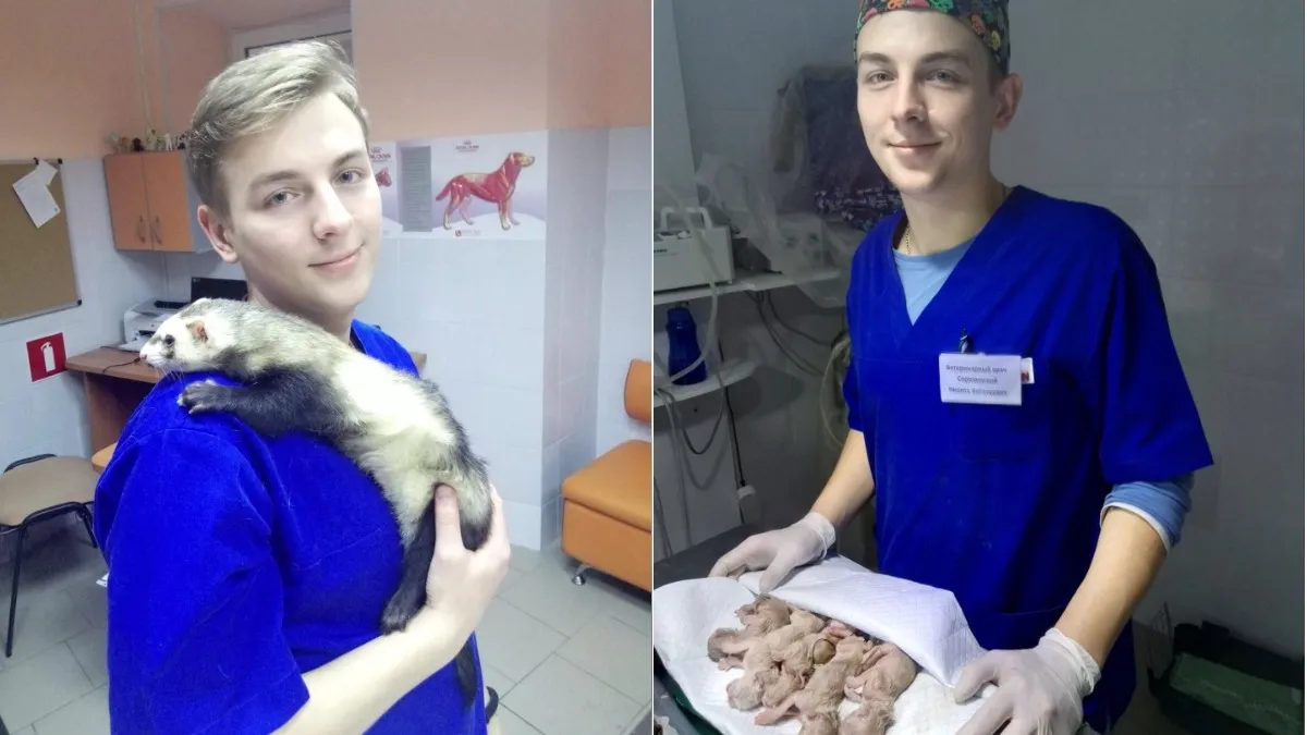 Сорочанський Сорочанський