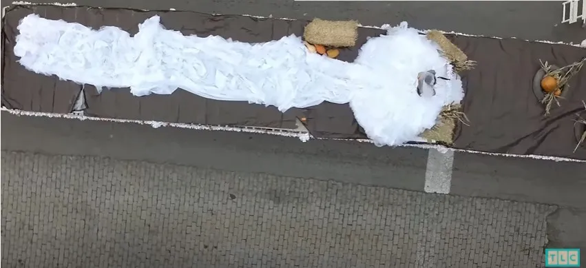 Оце так креативне добирання на весілля! / Скрін Gypsy Brides US Оце так креативне добирання на весілля! / Скрін Gypsy Brides US