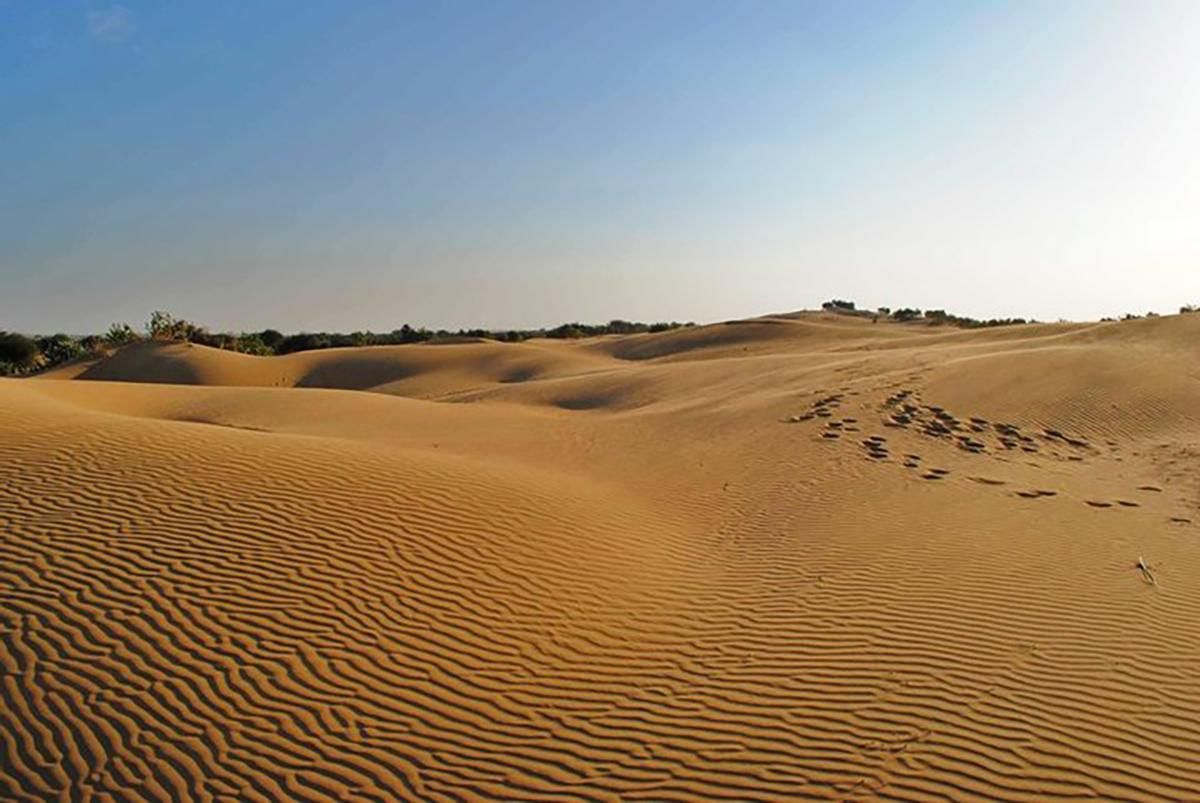 Степи на юге Украины могут превратиться в пустыню: причина Степи на юге Украины могут превратиться в пустыню: причина