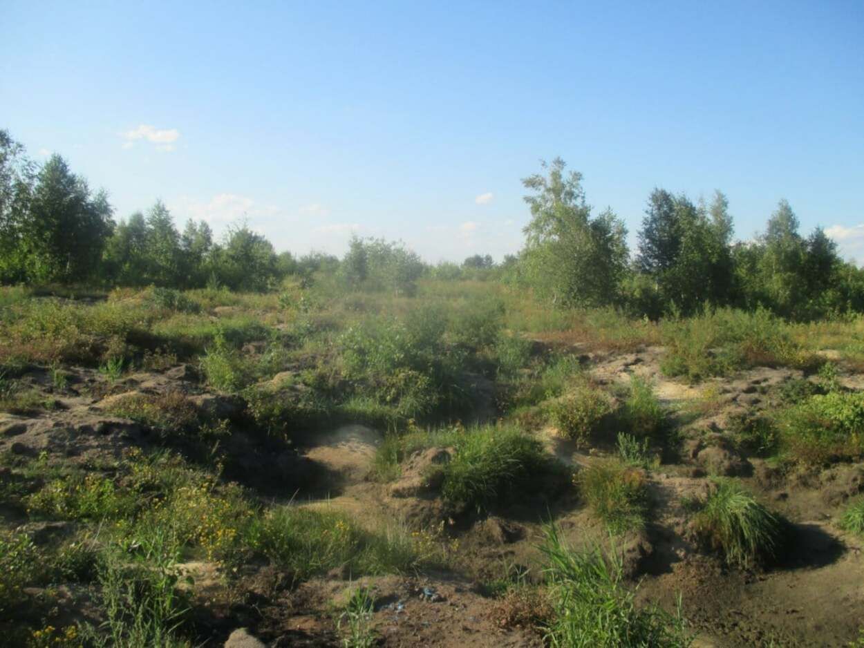 На Львовщине нашли опасные отходы: злоумышленнику сообщили о подозрении - фото На Львовщине нашли опасные отходы: злоумышленнику сообщили о подозрении - фото