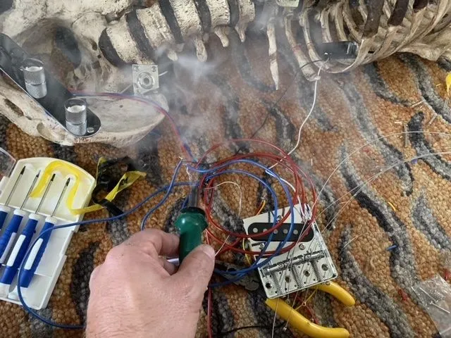 Чоловік змайстрував гітару з кісток свого померлого дядька і вона грає Чоловік змайстрував гітару з кісток свого померлого дядька і вона грає