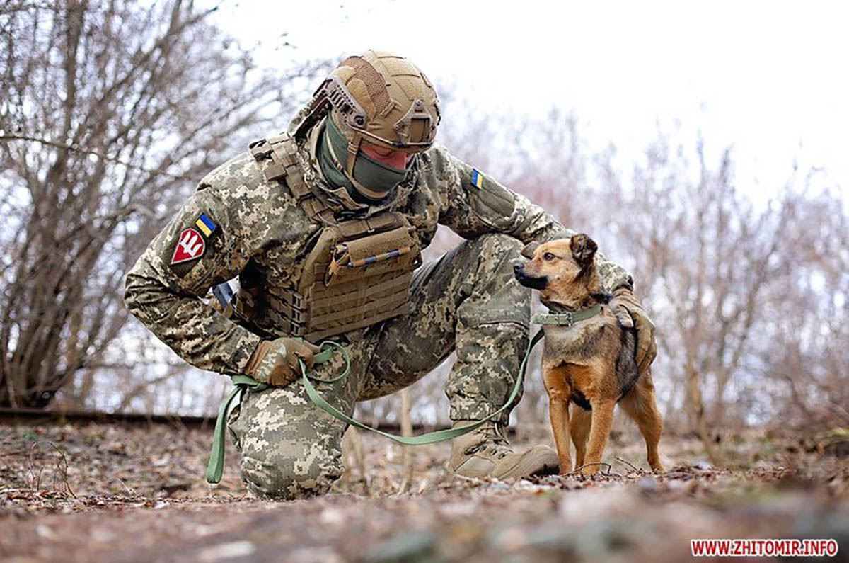 Військові ЗСУ знялися у фотосесії з безпритульними тваринами: фото