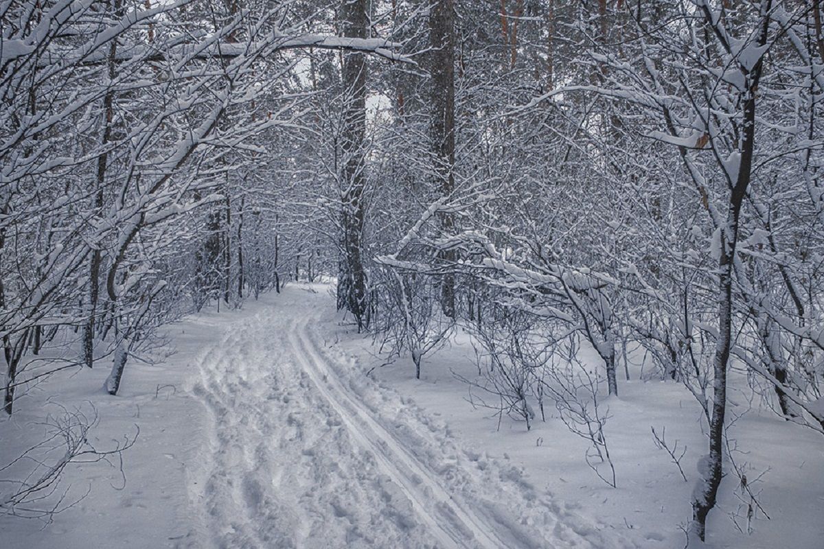 У Росії жінка покинула помирати своїх 3 дітей на морозі в лісі