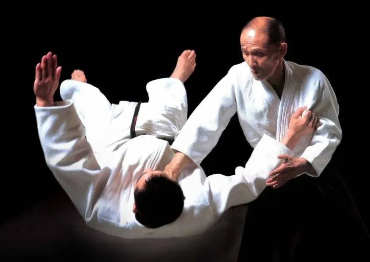 Бойові мистецтва Бойові мистецтва