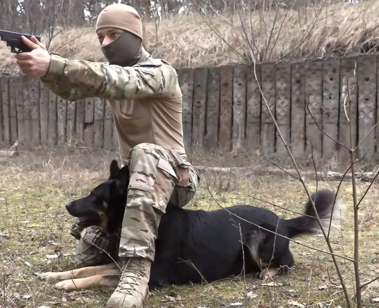 Кінолог Кінолог