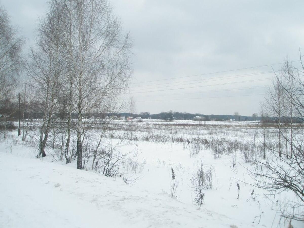 На Волині жінка замерзла насмерть посеред поля