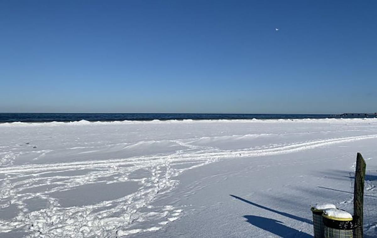 Вперше за багато років: узбережжя Балтійського моря замерзло – відео