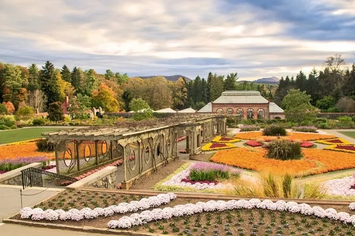 Сади Білтмора   / Фото Fancy pants homes Сади Білтмора   / Фото Fancy pants homes