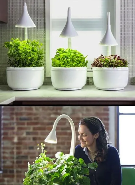 Домашній сад розумний Домашній сад розумний