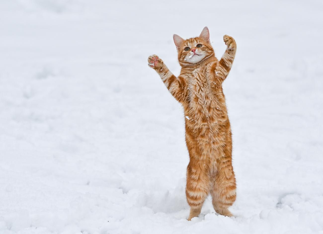Черкассы стали самым холодным городом Центральной Европы Черкассы стали самым холодным городом Центральной Европы