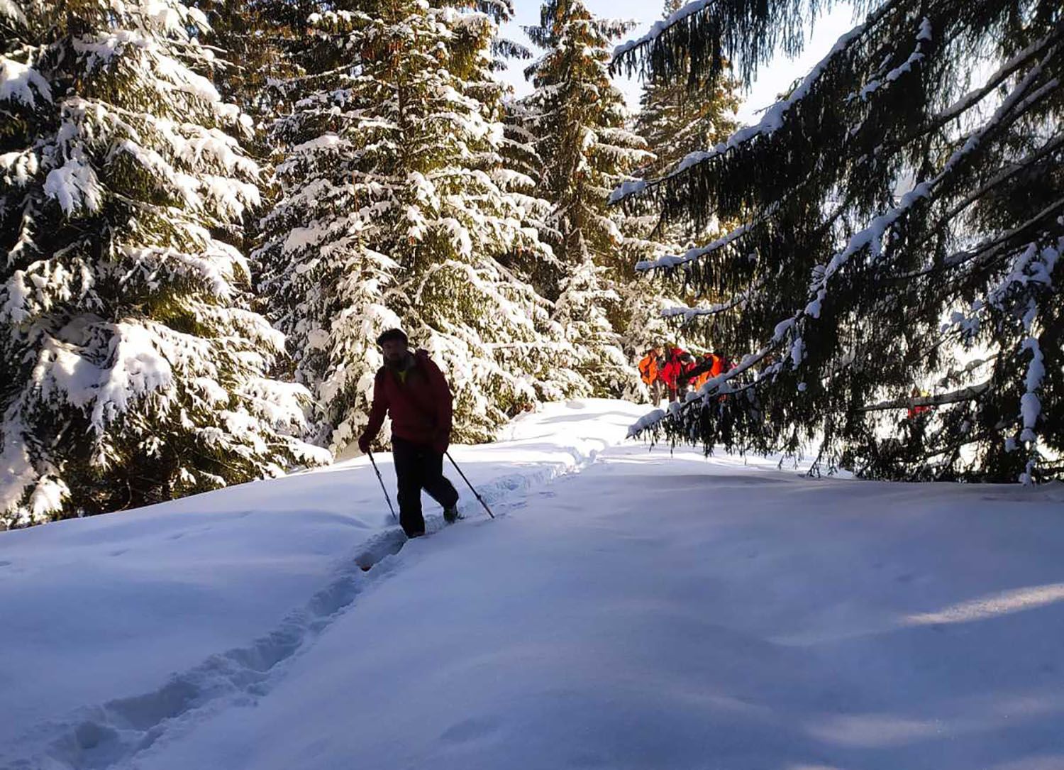 Нашли следы: киевлянина уже пятые сутки ищут в Карпатах Нашли следы: киевлянина уже пятые сутки ищут в Карпатах