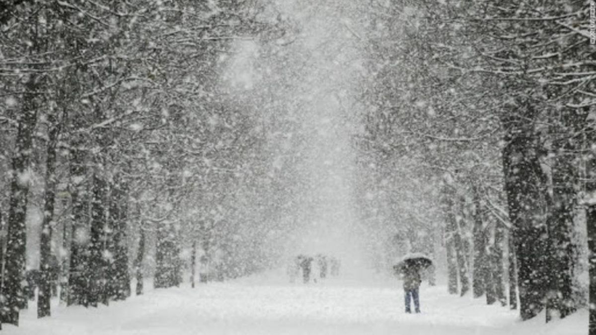 Львовщину обильно укроет снегом: прогноз погоды на 20 февраля 2021 