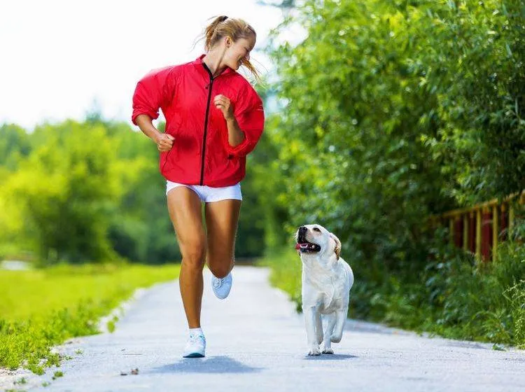 Целью забега является привлечение внимания к проблеме стерилизации Целью забега является привлечение внимания к проблеме стерилизации