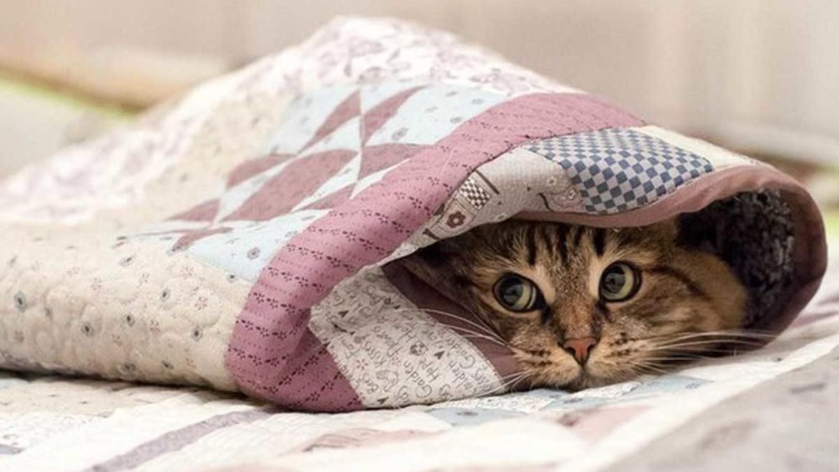 Скільки протримається потепління в Україні наприкінці лютого 2021: деталі від синоптиків Скільки протримається потепління в Україні наприкінці лютого 2021: деталі від синоптиків