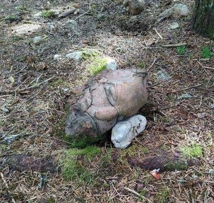 Голова чи камінь Голова чи камінь