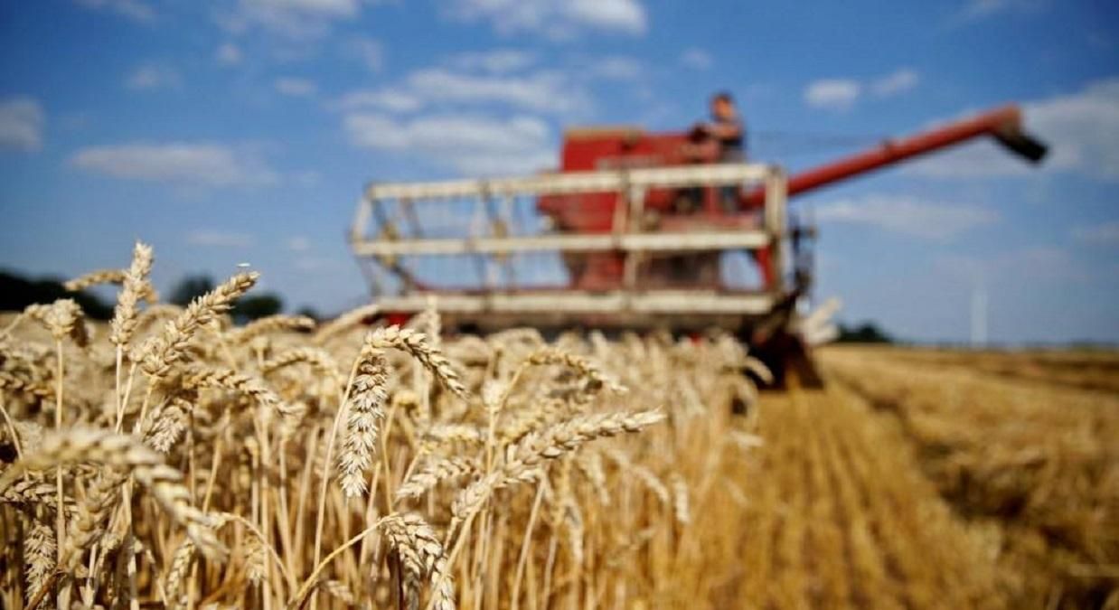 Цена высокого НДС: Украина ежегодно теряет $2 млрд из-за схем международных зернотрейдеров