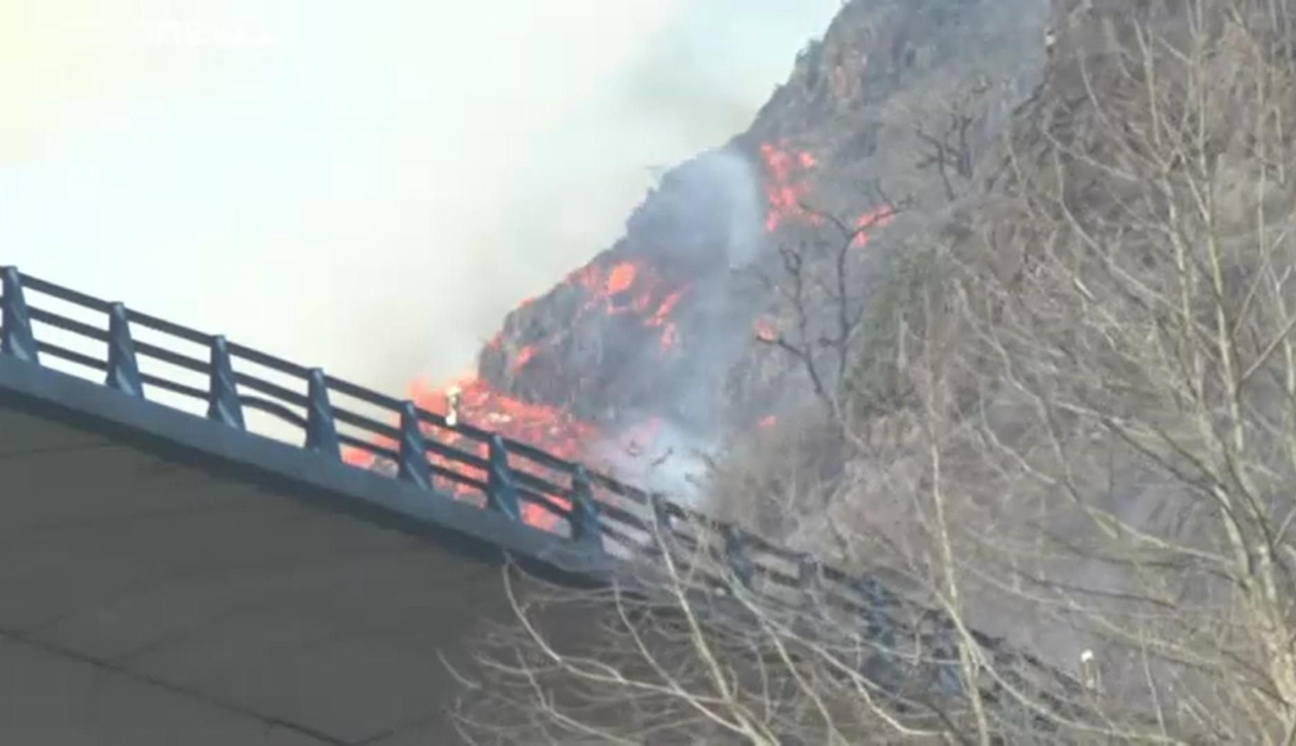 На кордоні Франції та Іспанії сталася масштабна лісова пожежа: фото На кордоні Франції та Іспанії сталася масштабна лісова пожежа: фото