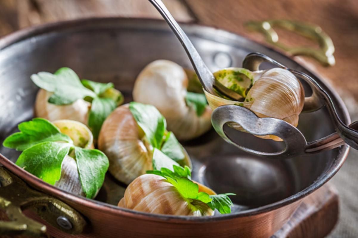 Равликові ферми вздовж узбережжя України Равликові ферми вздовж узбережжя України