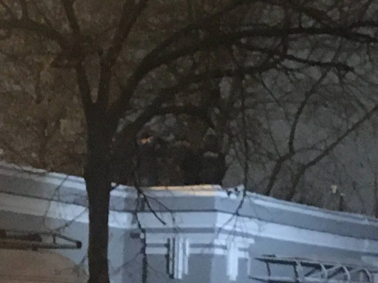 Сутички на даху ОП Сутички на даху ОП