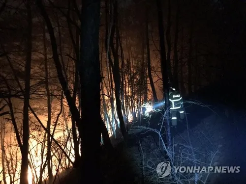 Пожежі у Південній Кореї